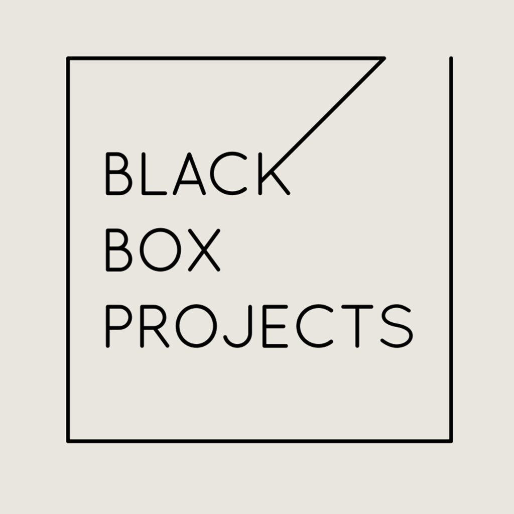 Black box project
