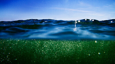 A long exposure blurred image of water representing a print on Hahnemühle Agave sustainable fine art paper.